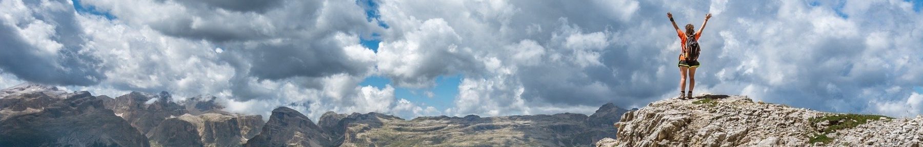 Andrew Heesen Project